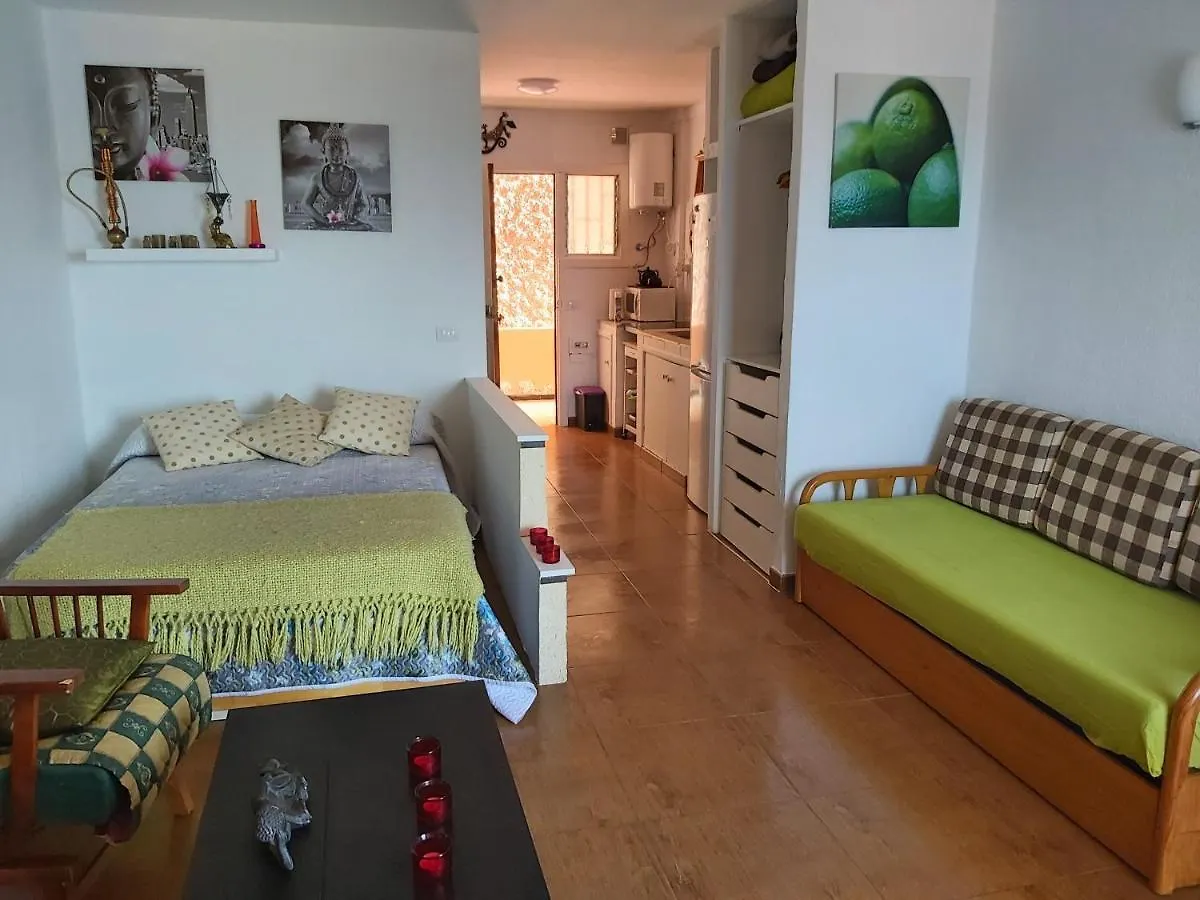 Апартаменты Acogedor Estudio En Playa San Marcos, Икод-де-лос-Винос Испания
